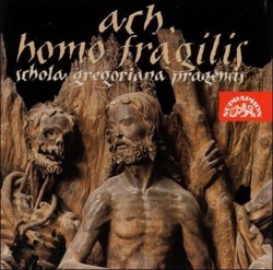 CD Schola Gregoriana Pragensis - Ach Homo Fragilis