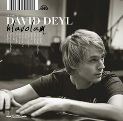 CD Deyl David - Hlavolam