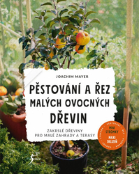 Pěstování a řez malých ovocných ovocných dřevin