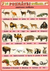 Poznávej 3 - zvířata (exotická, ptáci)