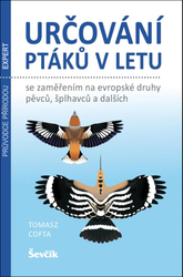 Určování ptáků v letu se zaměřením na evropské druhy pěvců, šplhavců a dalších