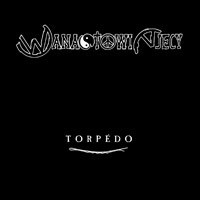 CD WANASTOWI VJECY-Torpédo