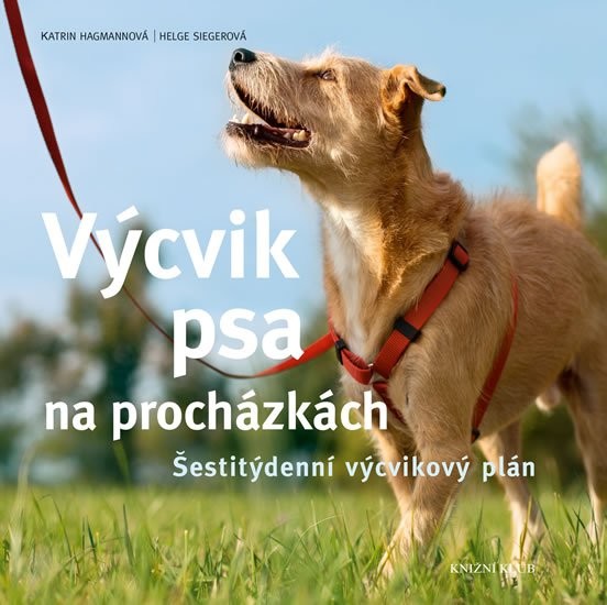 Výcvik psa na procházkách-Šestitýdenní tréninkový plán